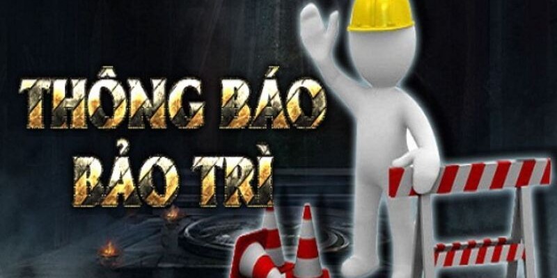 Câu hỏi về 8XBET bảo trì được chuyên gia giải đáp chi tiết